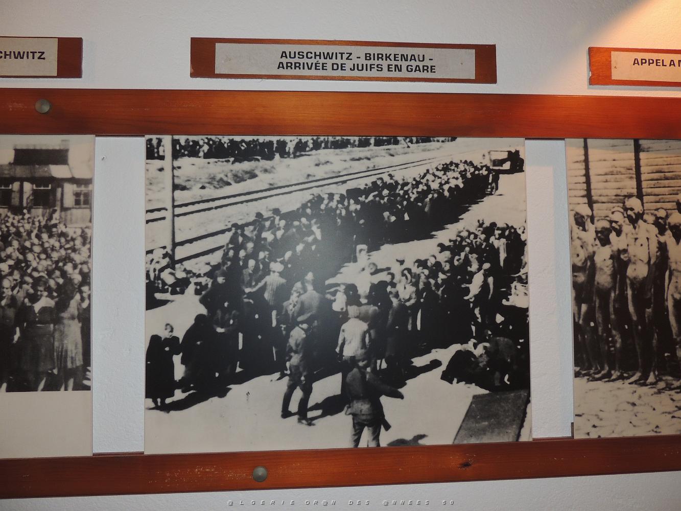 2019 04 28 TOULON HOMMAGE AUX VICTIMES DE LA DEPORTATION (35).JPG -           